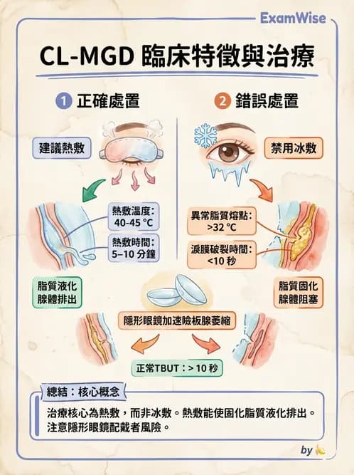 驗光生 - 乾眼、沉積物與結膜過敏反應 - AI 圖文解析預覽