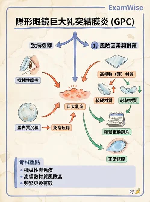 驗光生 - 乾眼、沉積物與結膜過敏反應 - AI 圖文解析預覽