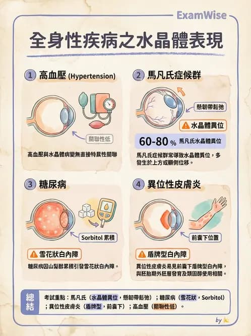 驗光生 - 青光眼與水晶體疾病 - AI 圖文解析預覽