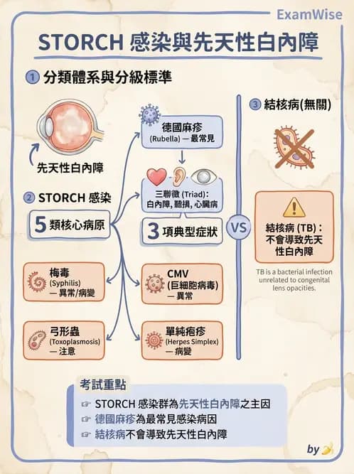 驗光生 - 青光眼與水晶體疾病 - AI 圖文解析預覽
