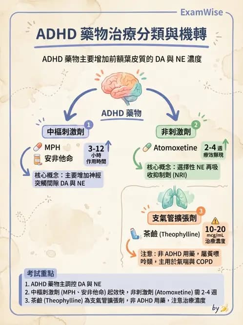 護理師 - 鎮痛、麻醉與神經科藥物 - AI 圖文解析預覽