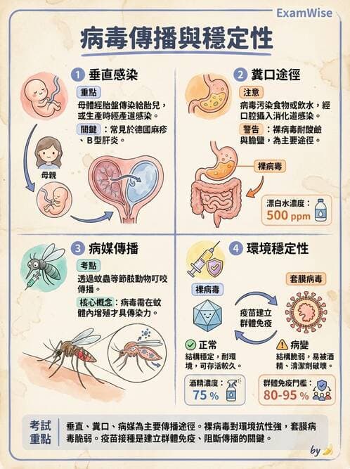 護理師 - 病毒學概念、prion - AI 圖文解析預覽