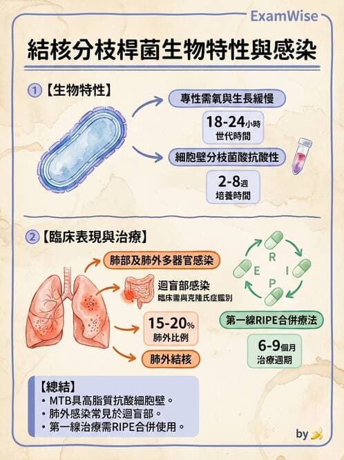 護理師 - 其他細菌 - AI 圖文解析預覽