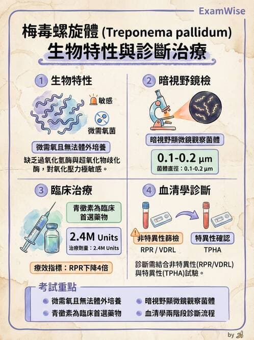 護理師 - 其他細菌 - AI 圖文解析預覽