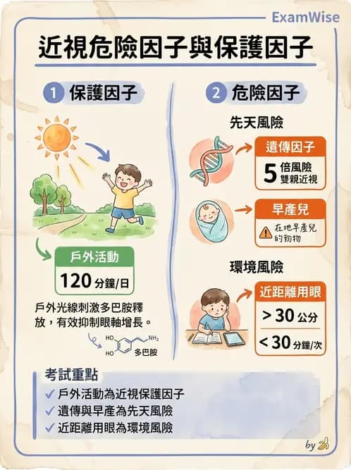 驗光生 - 近視與遠視的分類、成因及眼球光學基礎 - AI 圖文解析預覽