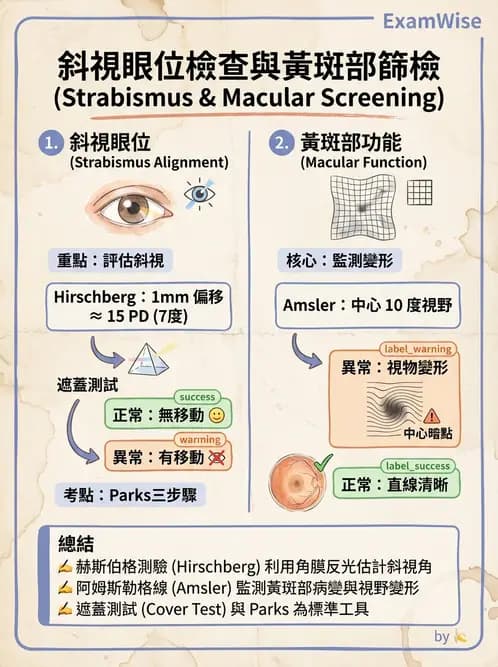 驗光生 - 眼位偏斜檢查 - AI 圖文解析預覽
