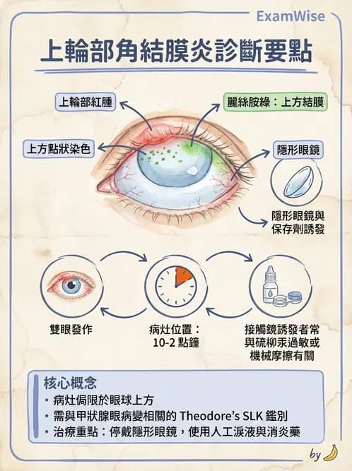 驗光生 - 角膜表面機械性損傷與染色 - AI 圖文解析預覽