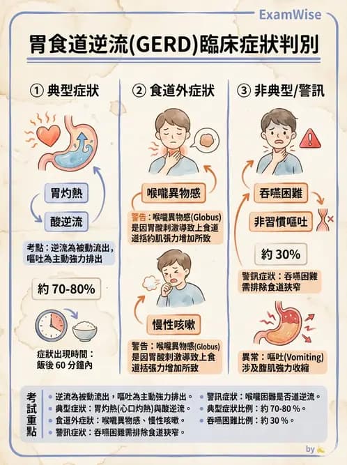 放射 - 口腔及腸胃道疾病 - AI 圖文解析預覽
