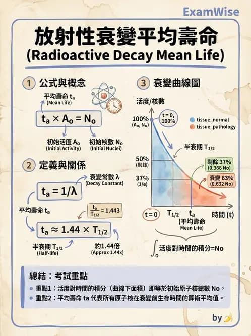 放射 - 放射性活度與衰變計算 - AI 圖文解析預覽