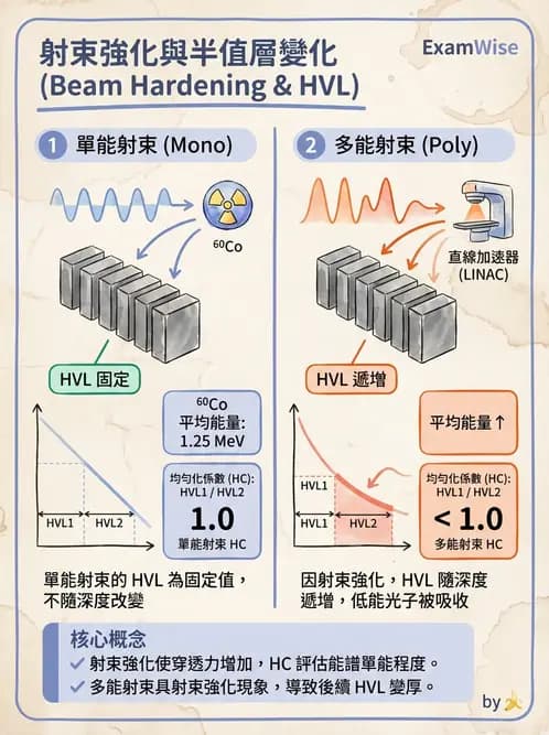 放射 - 光子衰減與係數計算 - AI 圖文解析預覽