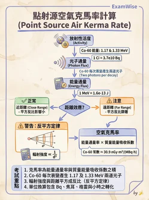 放射 - 體外劑量 - AI 圖文解析預覽
