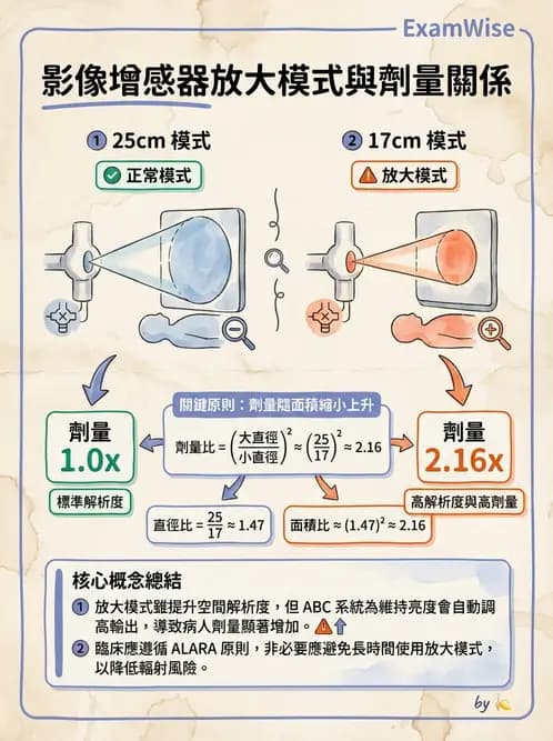 放射 - 透視與數位影像 - AI 圖文解析預覽