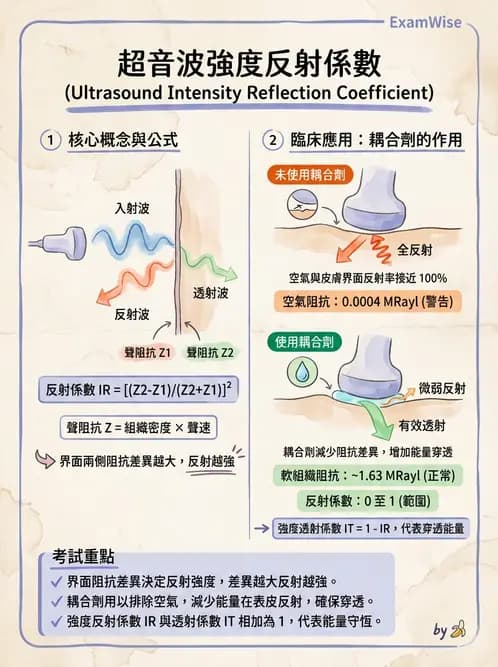 放射 - 超音波物理與換能器 - AI 圖文解析預覽