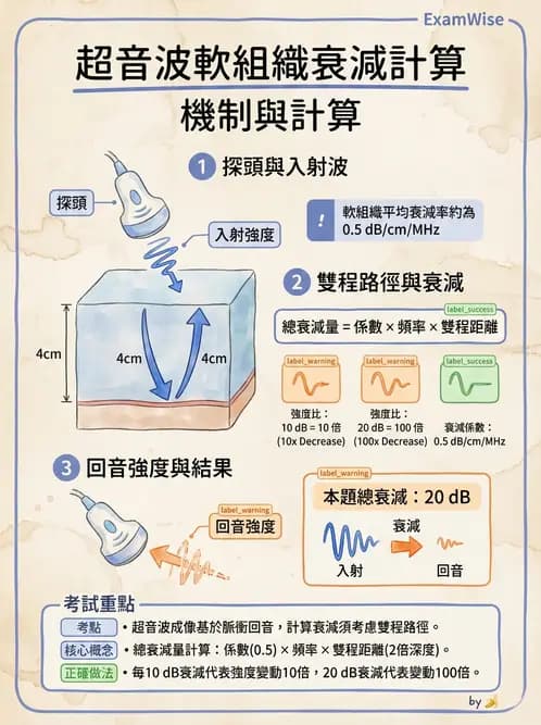 放射 - 超音波物理與換能器 - AI 圖文解析預覽