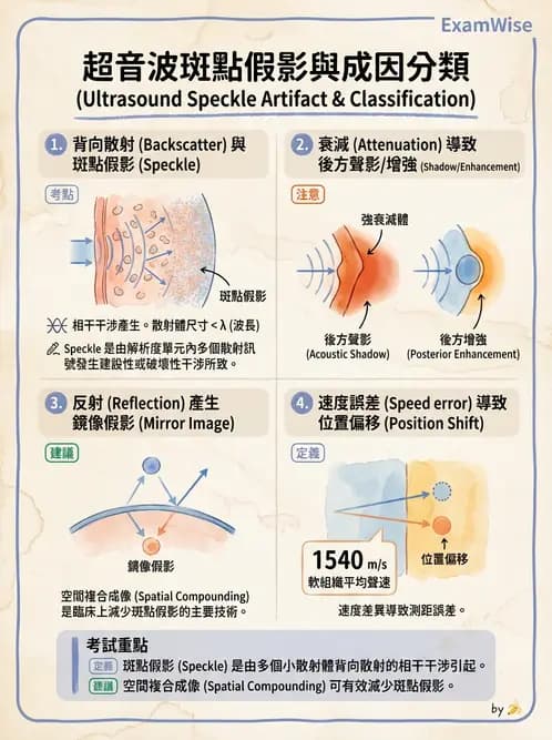 放射 - 超音波成像與都卜勒 - AI 圖文解析預覽