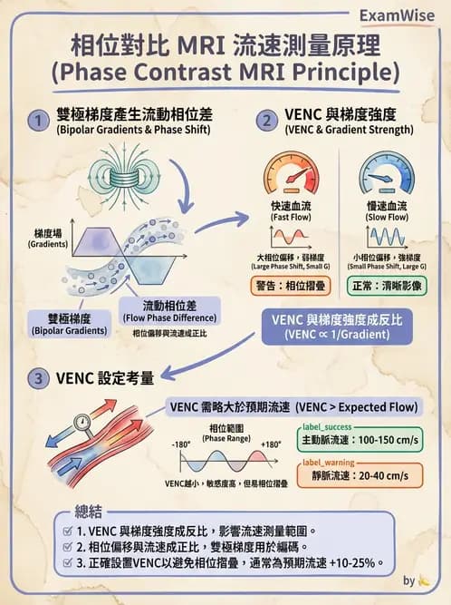 放射 - 脈衝序列與影像對比 - AI 圖文解析預覽