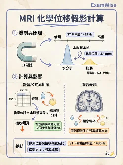 放射 - 空間編碼與影像品質 - AI 圖文解析預覽