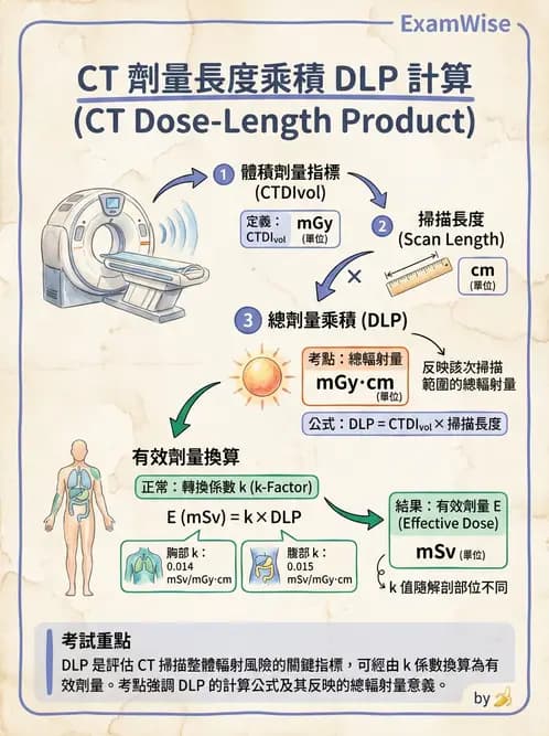 放射 - 體外劑量 - AI 圖文解析預覽