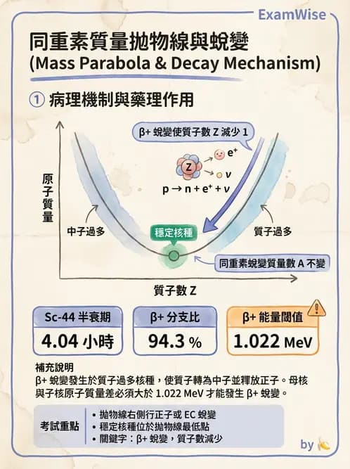 放射 - 放射性蛻變模式 - AI 圖文解析預覽