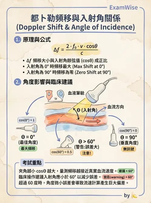 放射 - 都普勒超音波 - AI 圖文解析預覽