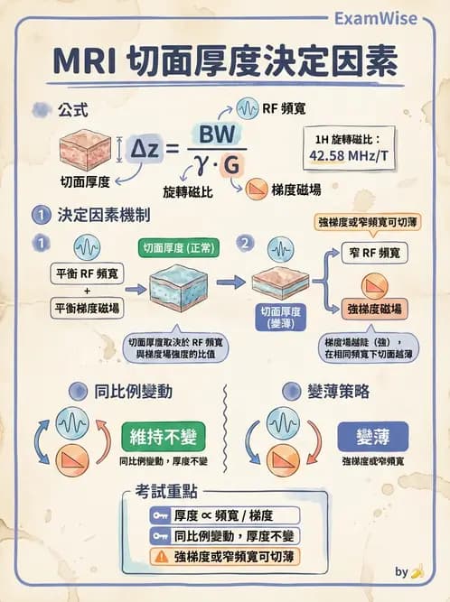 放射 - 梯度線圈與空間編碼 - AI 圖文解析預覽