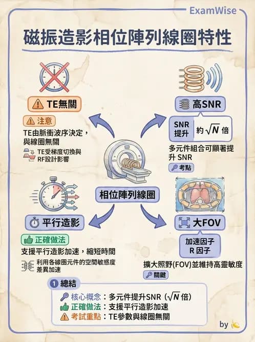 放射 - 射頻系統與線圈 - AI 圖文解析預覽