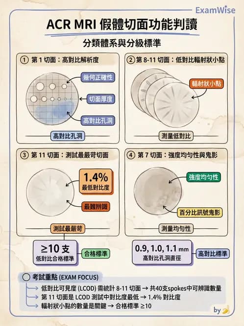 放射 - 品質管制與安全規範 - AI 圖文解析預覽