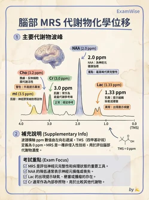 放射 - 射頻系統與線圈 - AI 圖文解析預覽