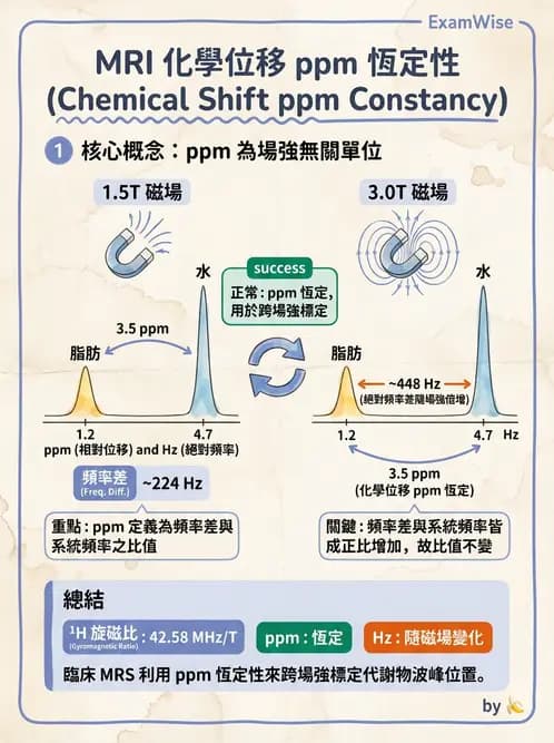 放射 - 射頻系統與線圈 - AI 圖文解析預覽