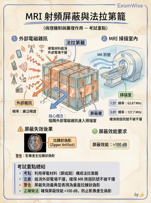 放射 - 磁場與射頻屏蔽 - AI 圖文解析預覽