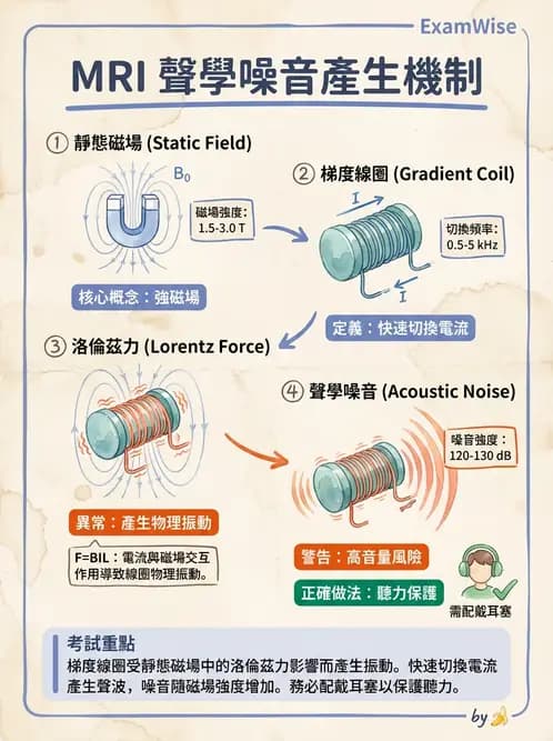 放射 - 梯度線圈與空間編碼 - AI 圖文解析預覽