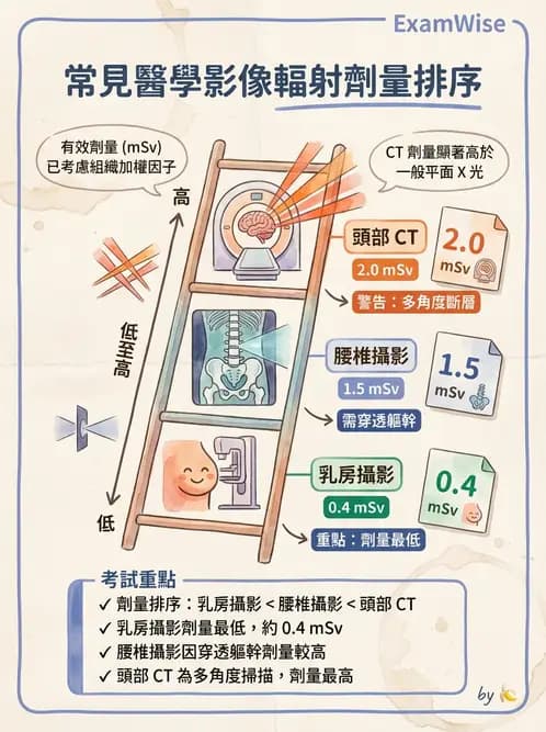 放射 - 輻射安全 - AI 圖文解析預覽