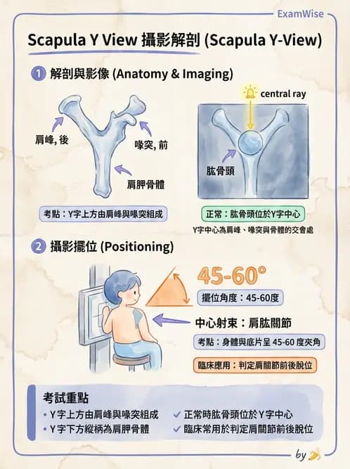 放射 - 軀幹四肢攝影技術 - AI 圖文解析預覽