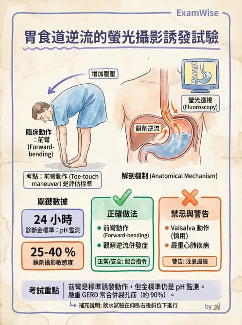 放射 - 消化道造影 - AI 圖文解析預覽