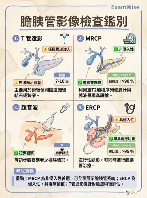 放射 - 消化道造影 - AI 圖文解析預覽