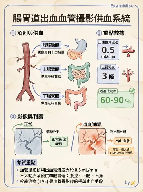 放射 - 血管攝影原理與解剖 - AI 圖文解析預覽
