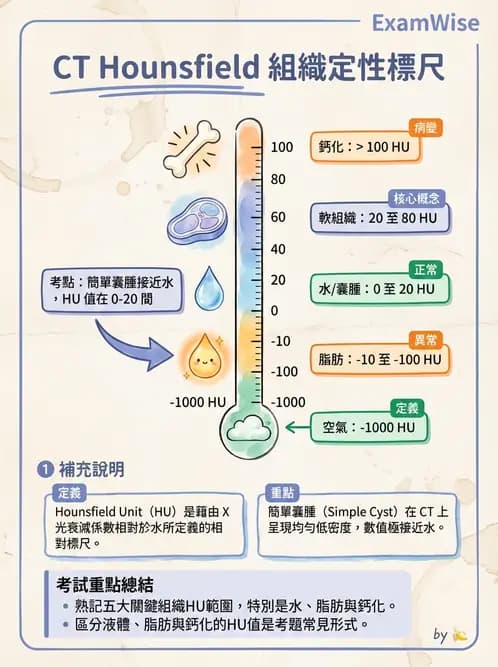 放射 - 胸腹部CT診斷 - AI 圖文解析預覽