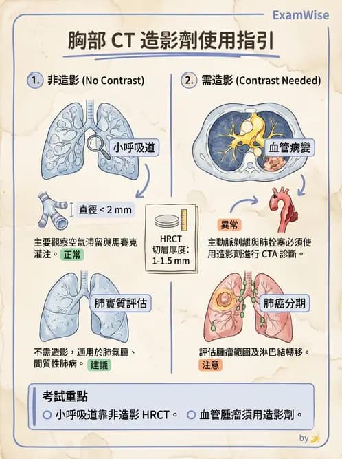 放射 - 胸腹部CT診斷 - AI 圖文解析預覽