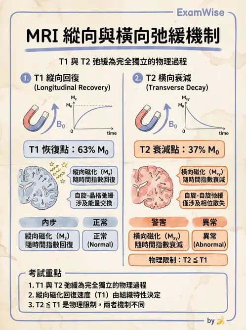 放射 - 磁振造影原理 - AI 圖文解析預覽