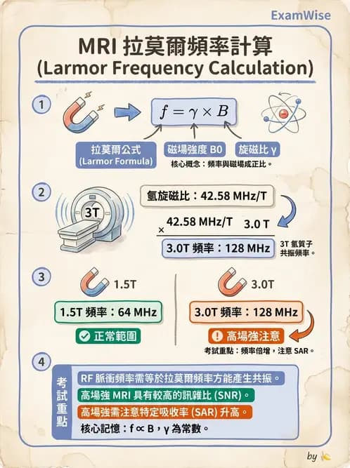 放射 - 磁振造影原理 - AI 圖文解析預覽