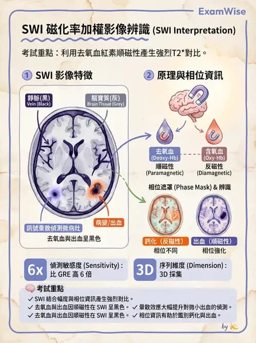 放射 - MR進階影像與臨床應用 - AI 圖文解析預覽