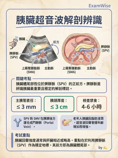 放射 - 膽胰脾超音波 - AI 圖文解析預覽