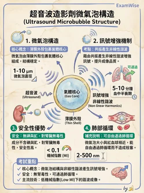 放射 - 超音波物理與技術 - AI 圖文解析預覽