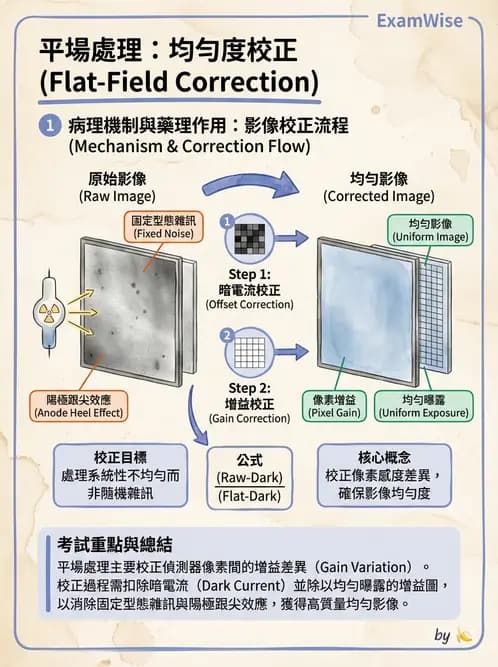 放射 - 設備品保 - AI 圖文解析預覽