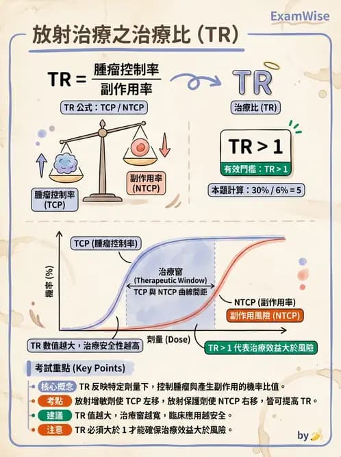 放射 - 腫瘤反應預測 - AI 圖文解析預覽