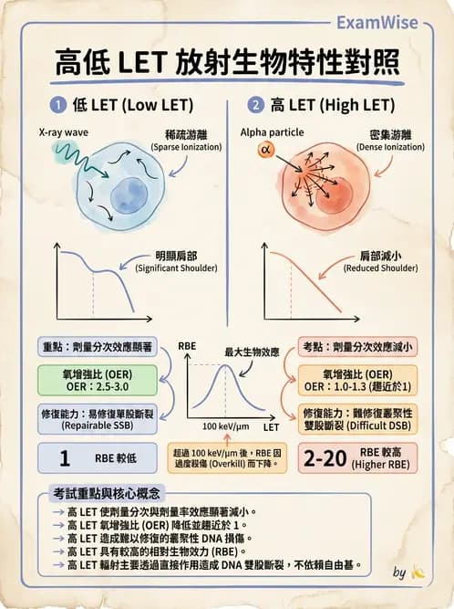 放射 - LET、RBE、OER與復氧效應 - AI 圖文解析預覽
