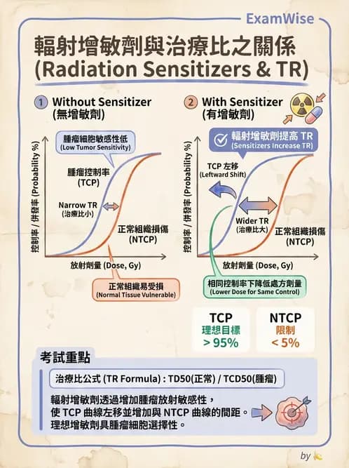 放射 - 腫瘤反應預測 - AI 圖文解析預覽