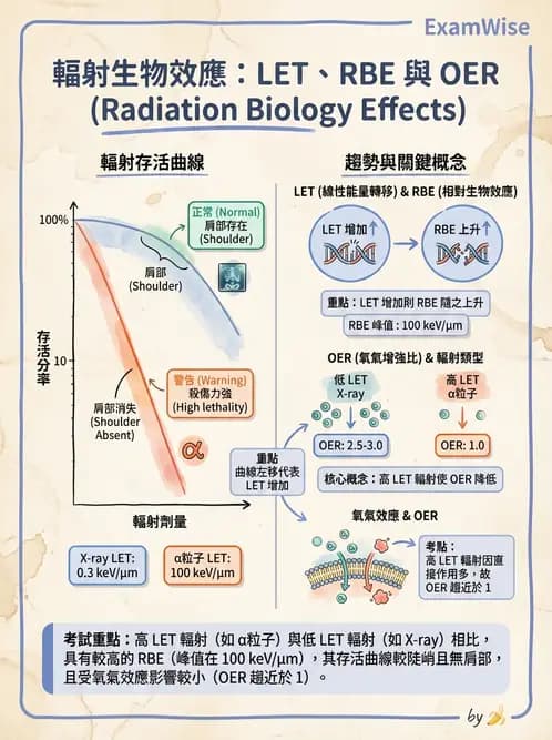 放射 - LET、RBE、OER與復氧效應 - AI 圖文解析預覽