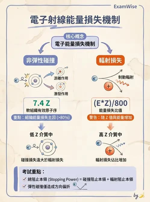 放射 - 電子射束物理特性與劑量分布 - AI 圖文解析預覽
