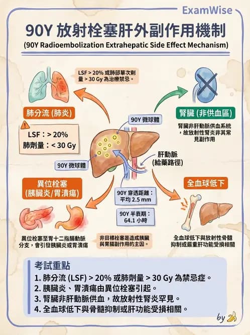 放射 - 血管內近接治療 - AI 圖文解析預覽